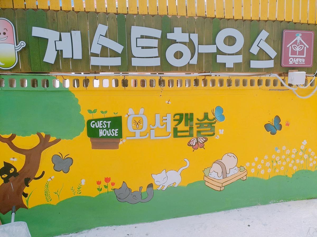 Ocean Capsule Guesthouse Gangneung Ngoại thất bức ảnh